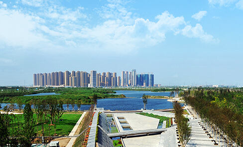 宁波杭州湾新区环境整治提升 打造国际化滨海新城