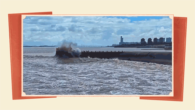10.gif