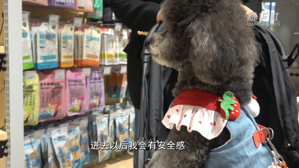 1989892293229797376.png aeff2dc599adde09a0b4d0b0baf51d44.png