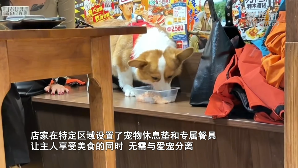 1989892292927807488.png 582d194c668b2a5440709e2cd9c6c8dc.png