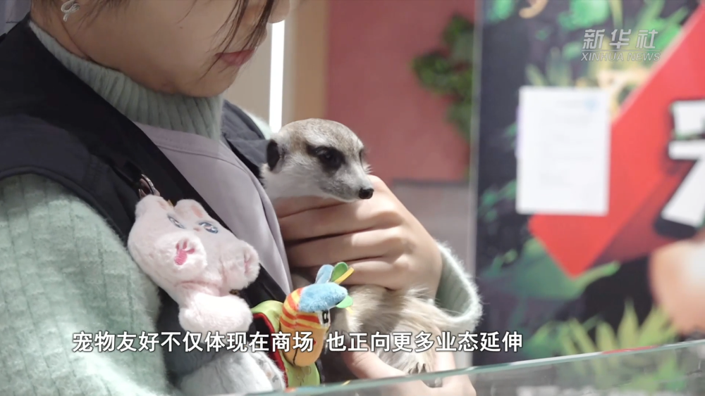 1989892291979894784.png 6e4a107111d7f9328cfd829644907197.png