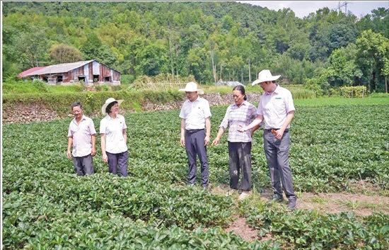“百村共建”，金融活水润乡村