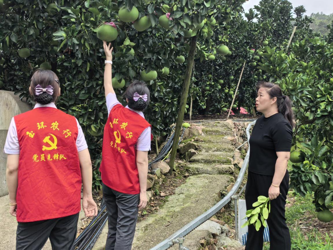 农行玉环市支行灾后走访暖人心