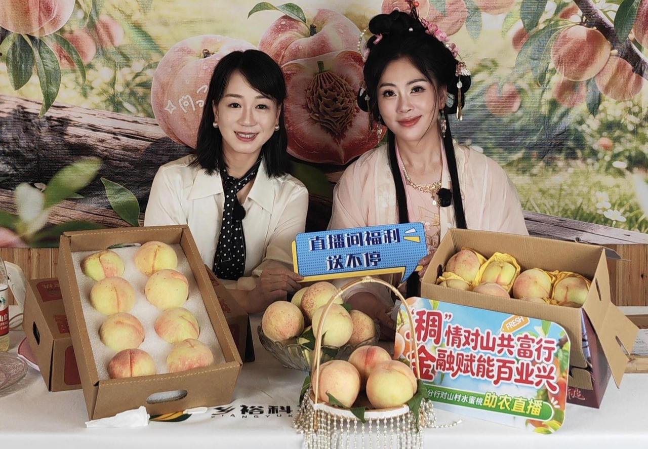金融活水润乡土 直播助农促共富：稠州银行台州分行赋能对山桃香飘万家
