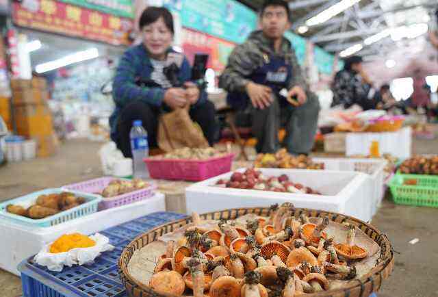 采菌不可踩到红线