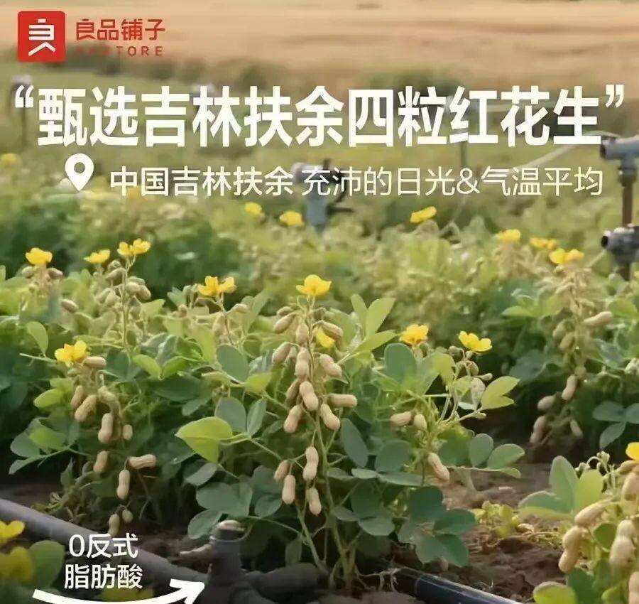 人不能成为AI附庸