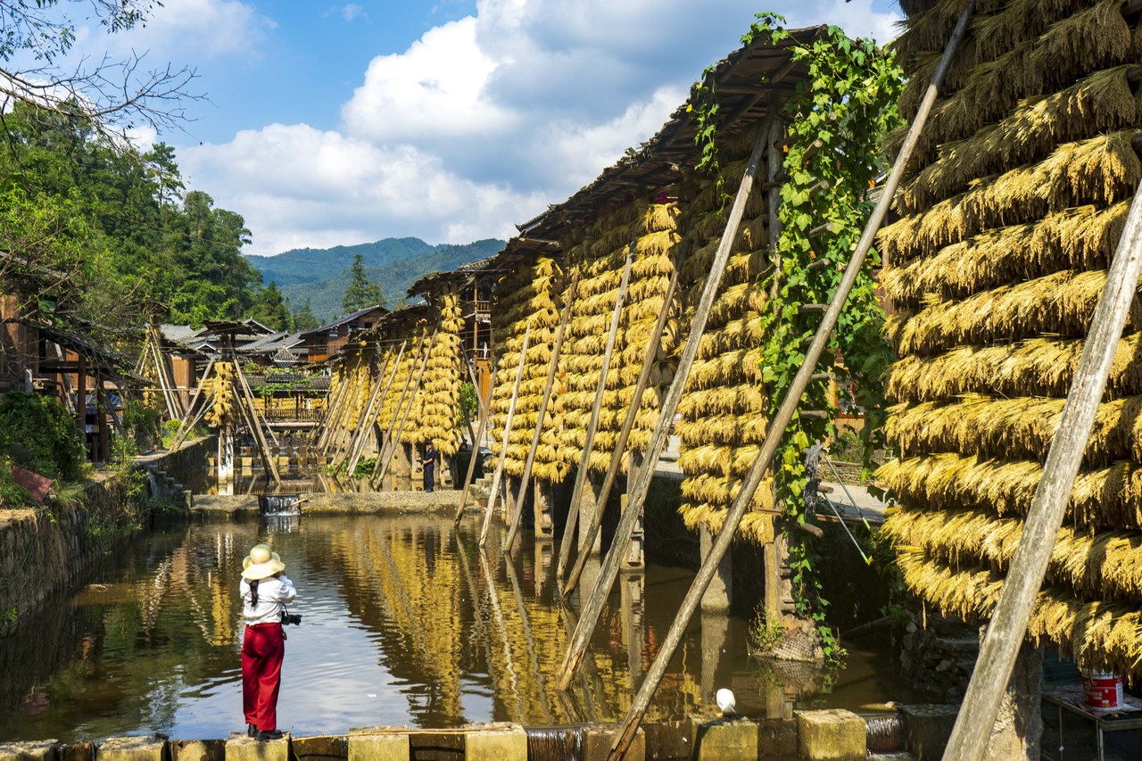 期待绿色文旅“长红”
