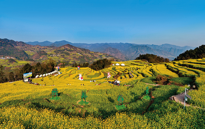 提振乡村消费突破口在服务