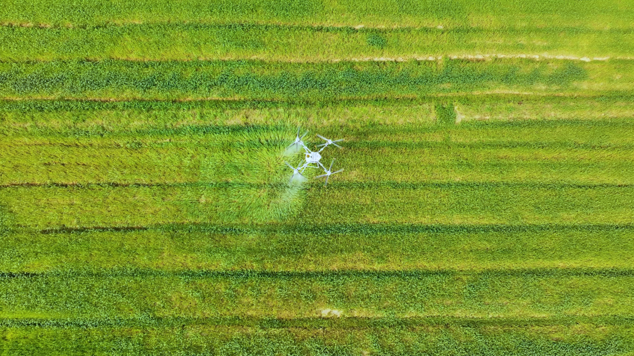 发展农业也要有场景支撑