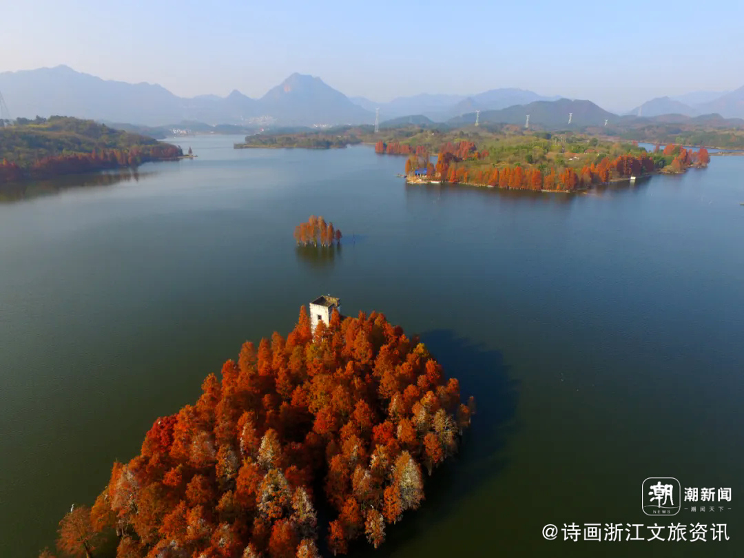 做活“民宿+”撬动农文旅