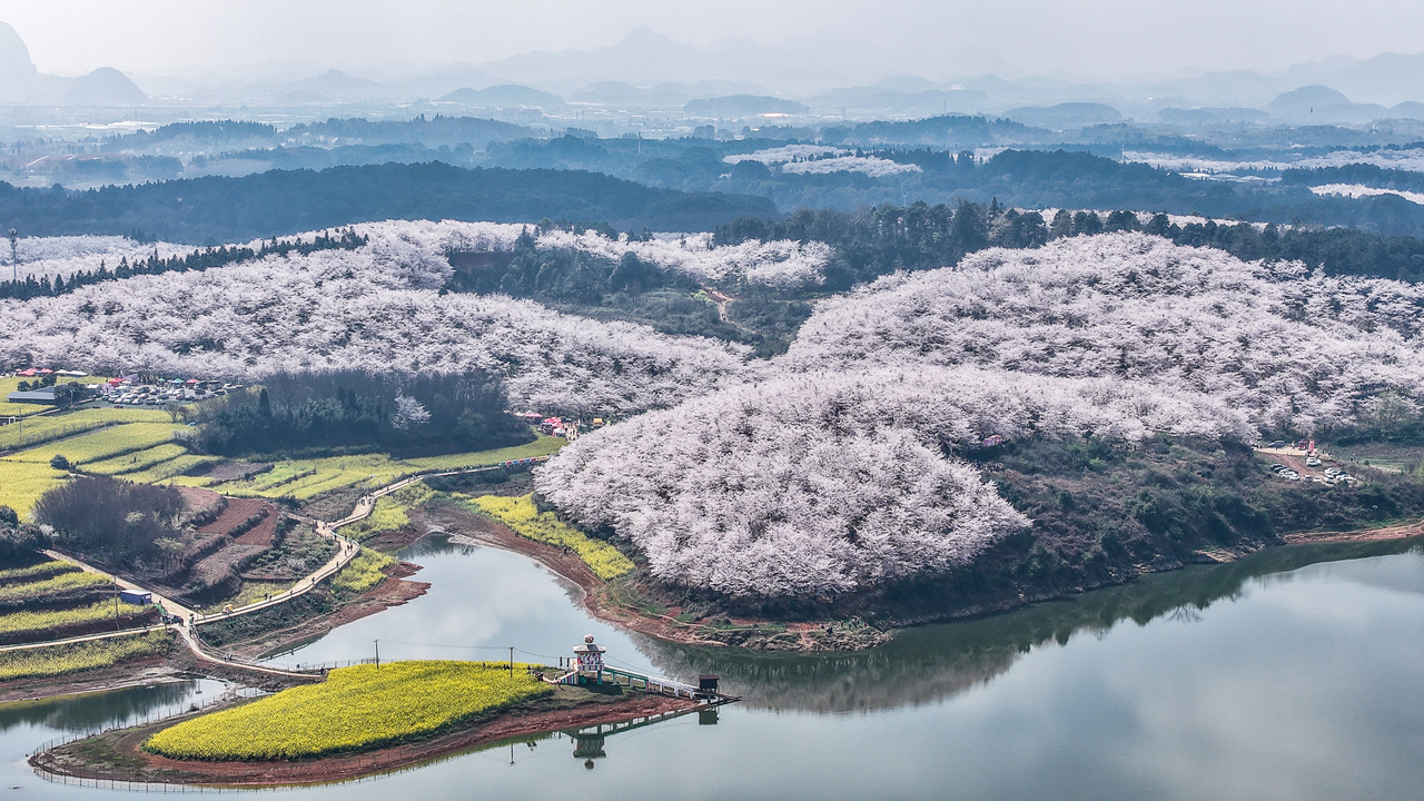 写好“赏花+”大文章