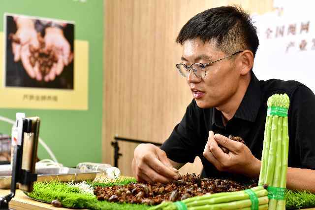 别让吃知了变成“绝蝉计”
