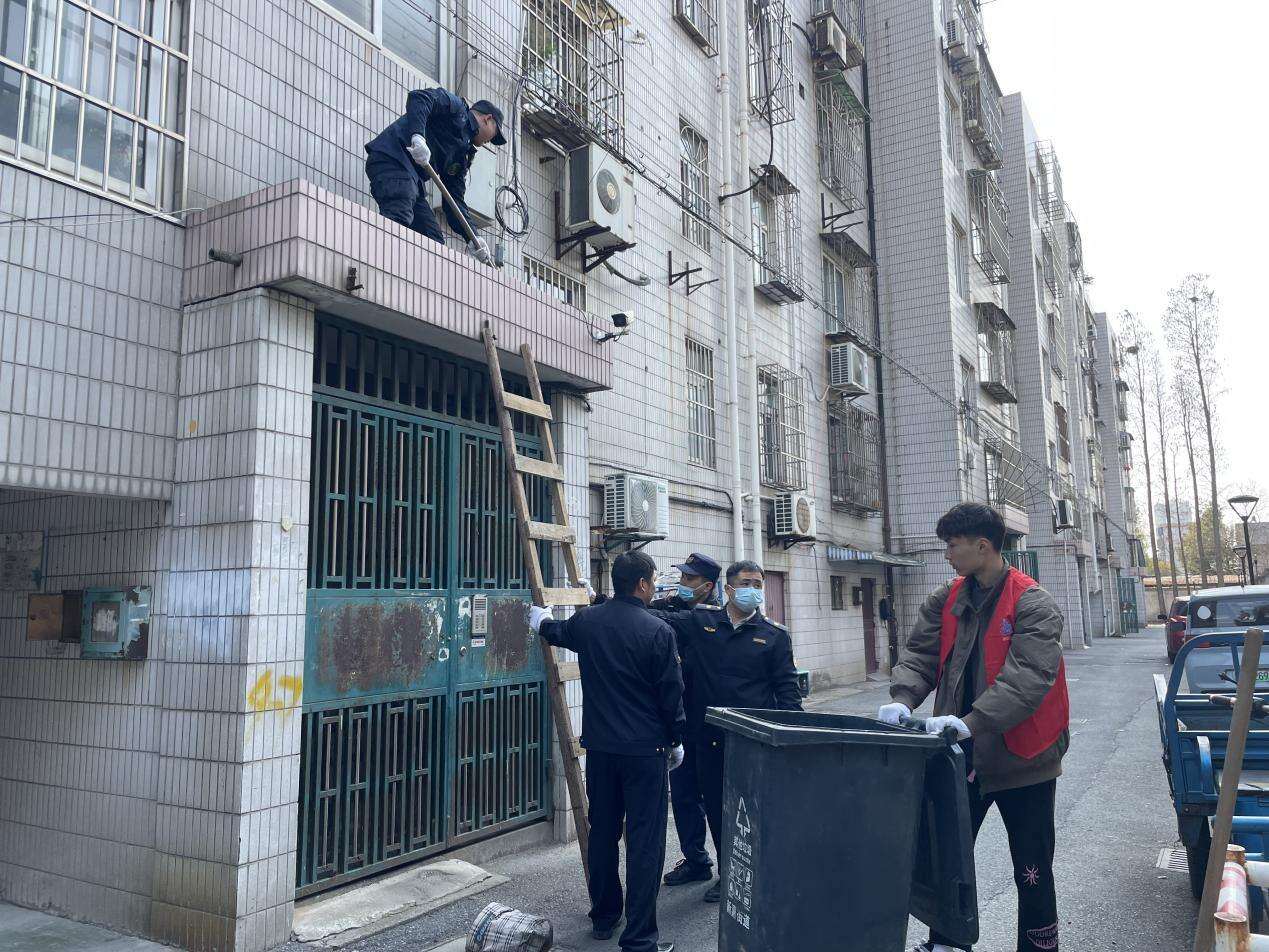 嘉兴南湖区竹桥社区：深化环境整治与生态保护 助力文明城市创建