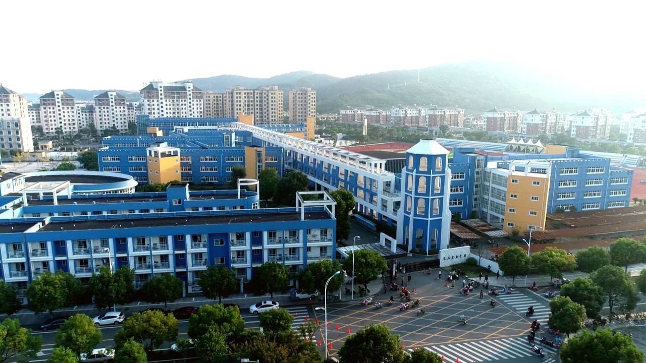 舟山软件开发：解锁智慧之窗