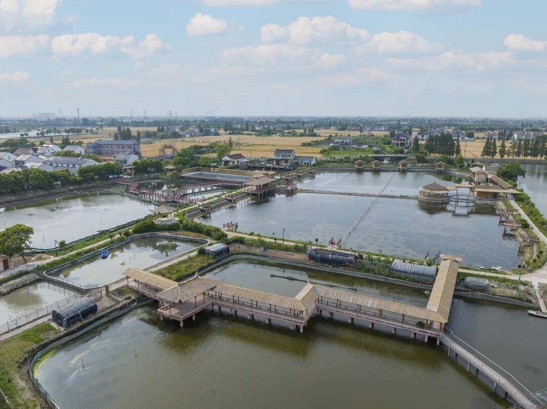 金健米业：公司始终守护民生食品安全积极履行社会责任