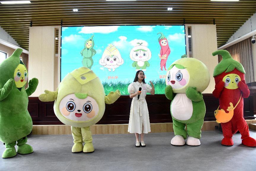 常山县四叶制作