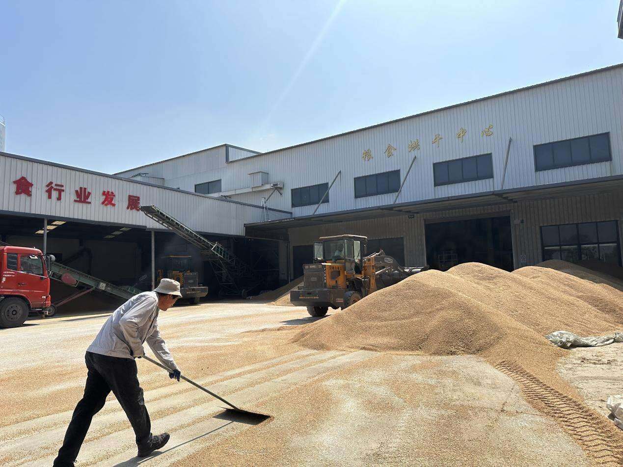 “勤廉范韵” 薪火相传——走读清远佛冈官塅围村
