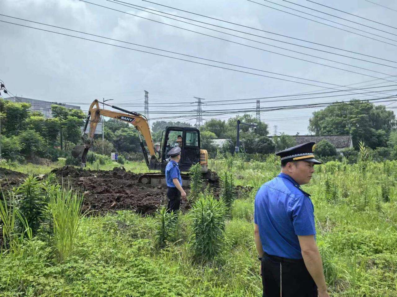 嘉兴南湖区大桥镇：“三个强化”严管建筑垃圾处置完美真人(图3)