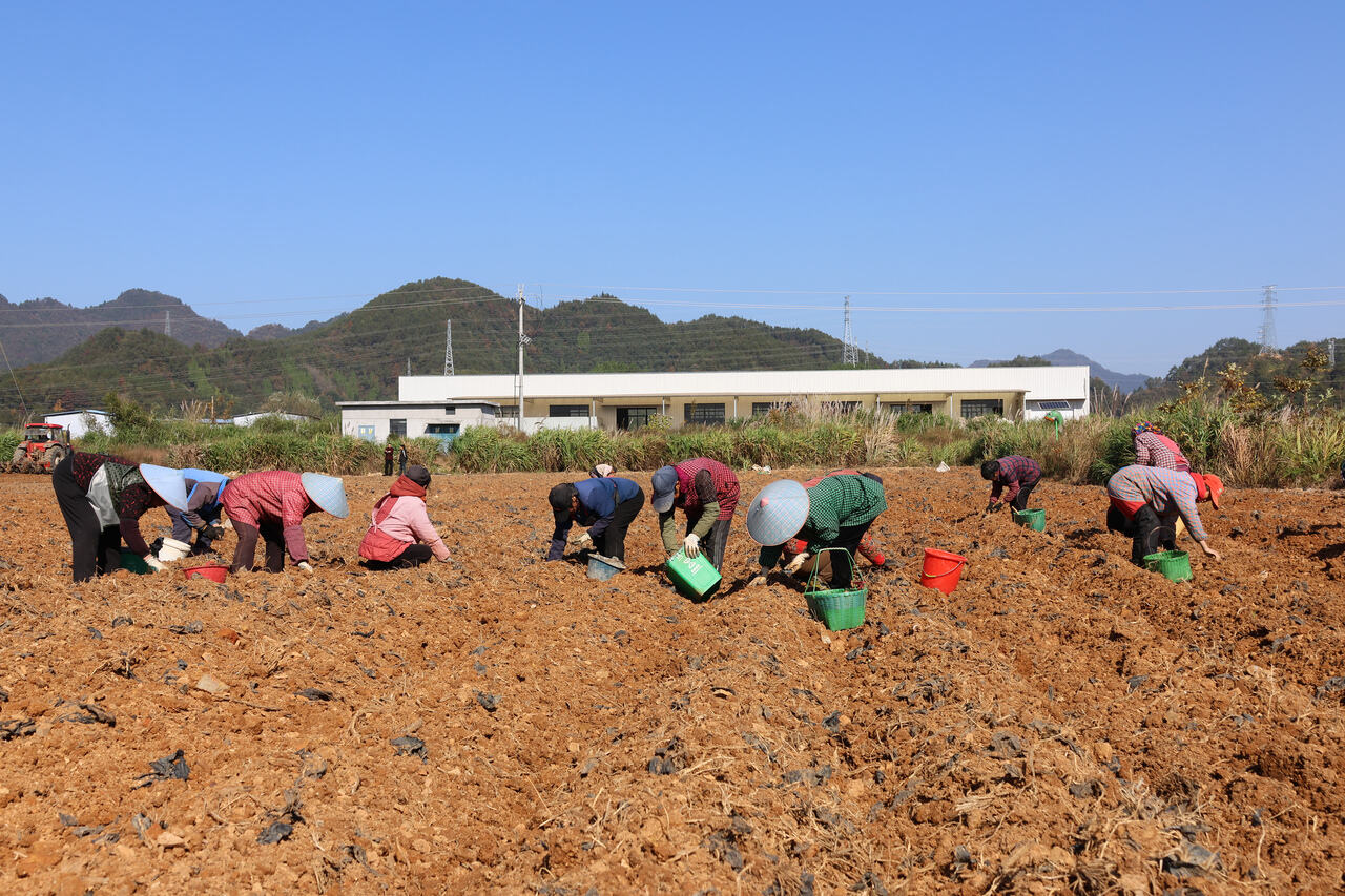 挣钱快的路子年入500万(挣钱快的路子年入500万是真的吗)