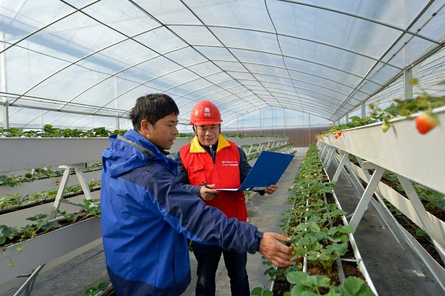 全国零碳乡村发展研讨会深入淳安一线见证电网力量赋能乡村绿色转型(图2)