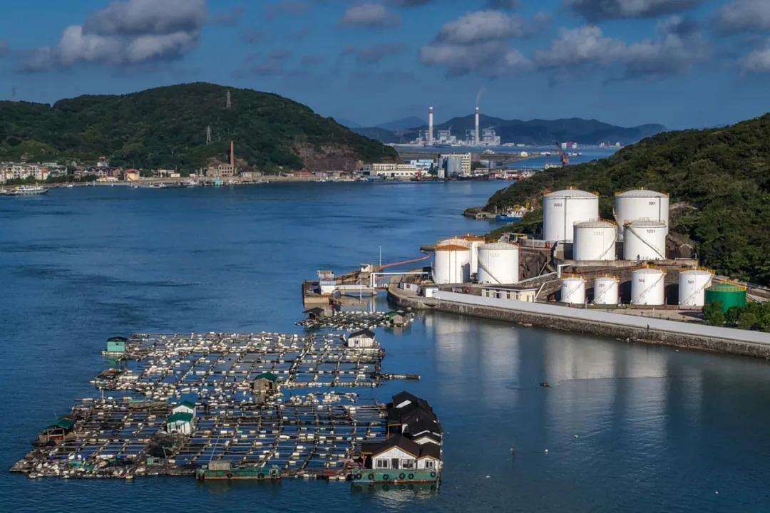 1983779721040617472.webp 图片