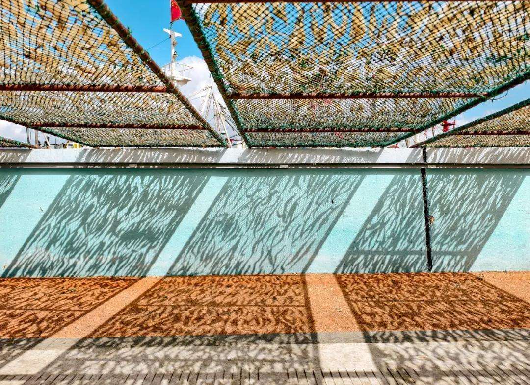 1983779721963364352.webp 图片