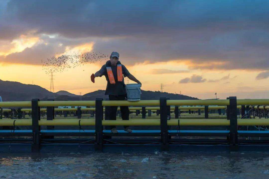 1983779721808175104.webp 图片