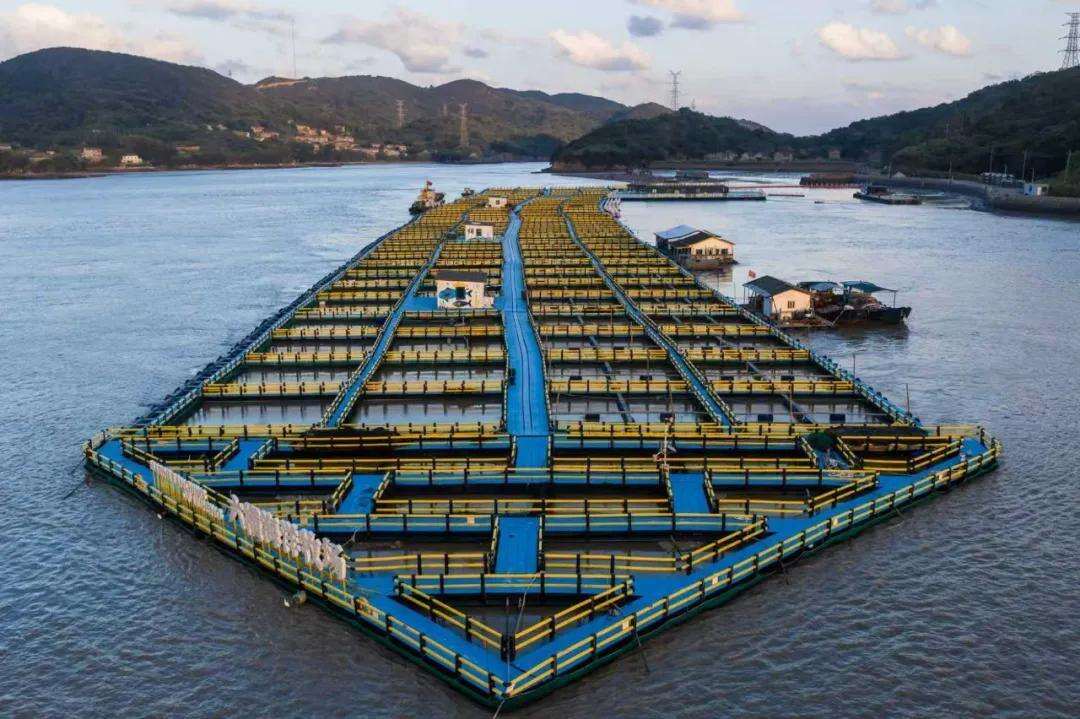 1983779721921421312.webp 图片