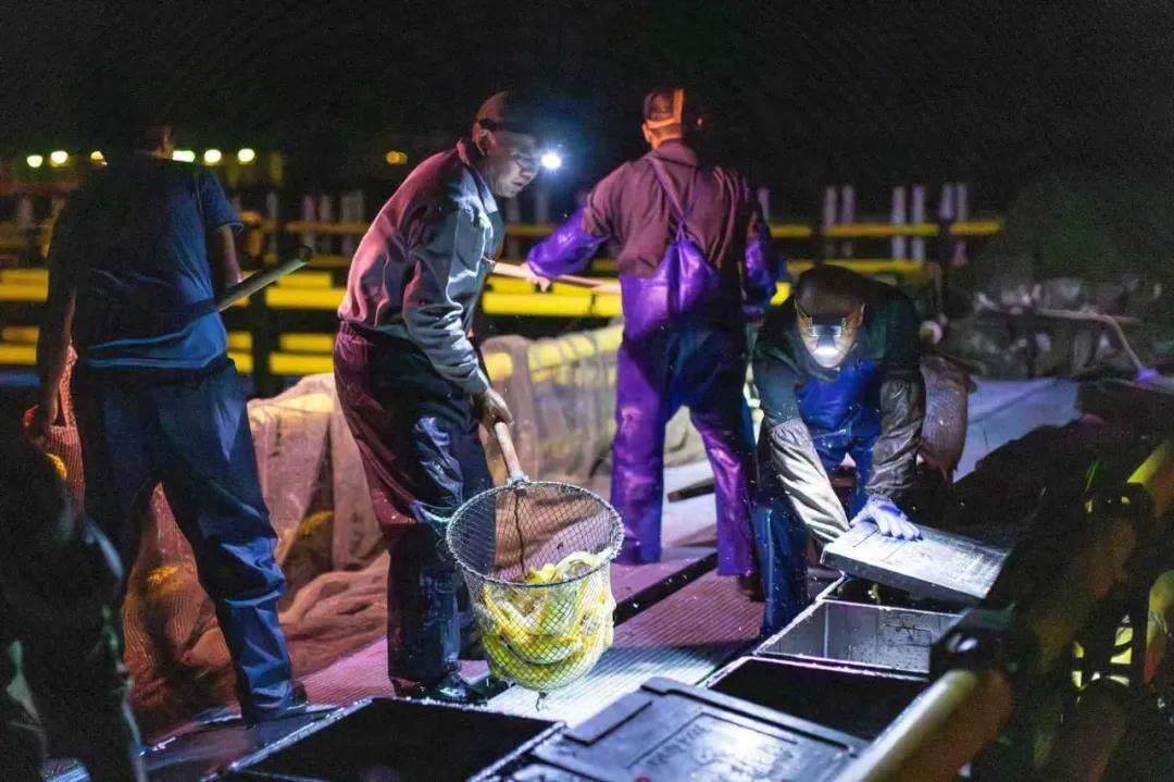 1983779721921421313.webp 图片