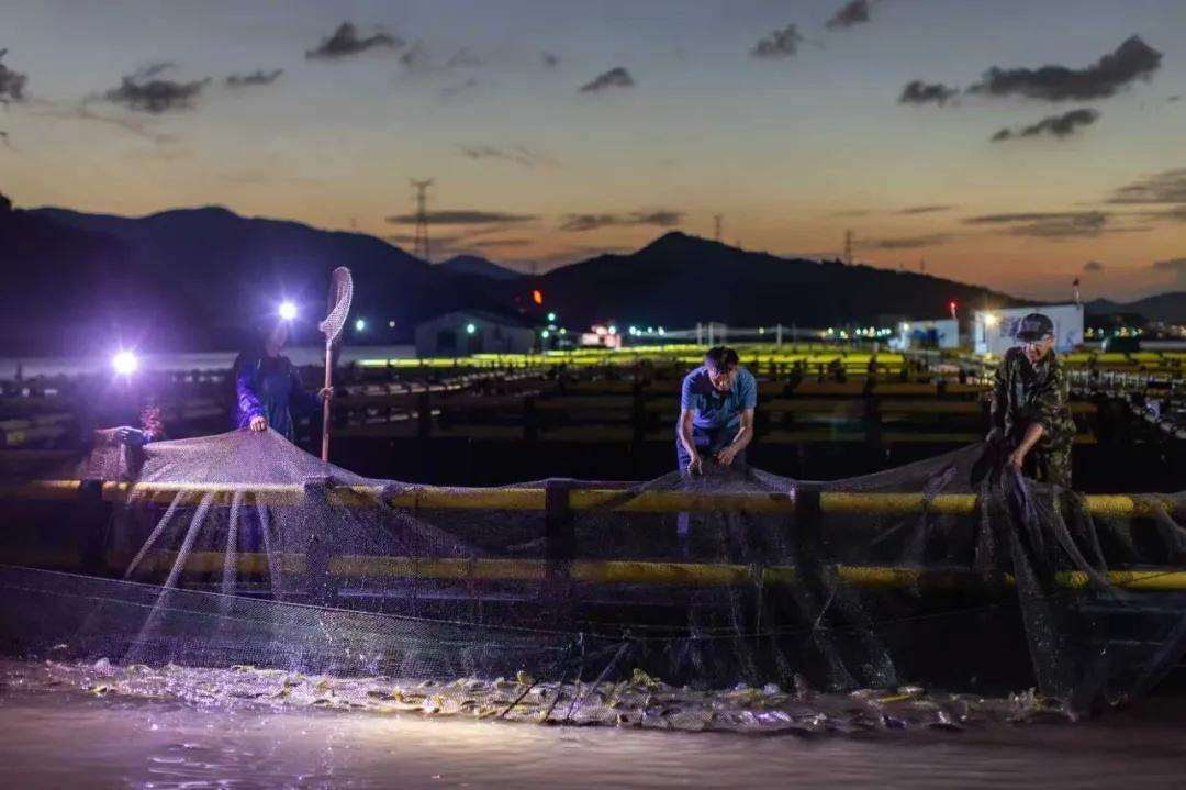 1983779722022084608.webp 图片