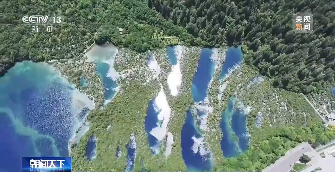1982286839897120768.jpg