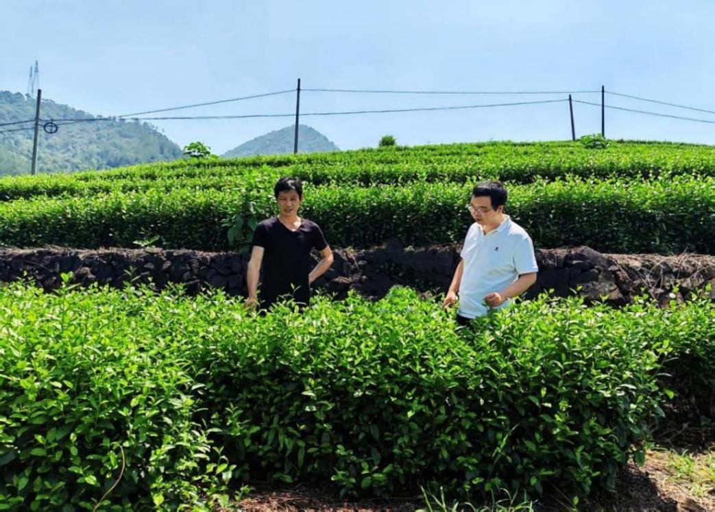 浙江稠州商业银行地方实践:十八载润泽处州 见证“绿富美”的深刻变迁