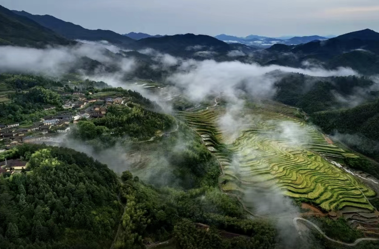 龙泉.png