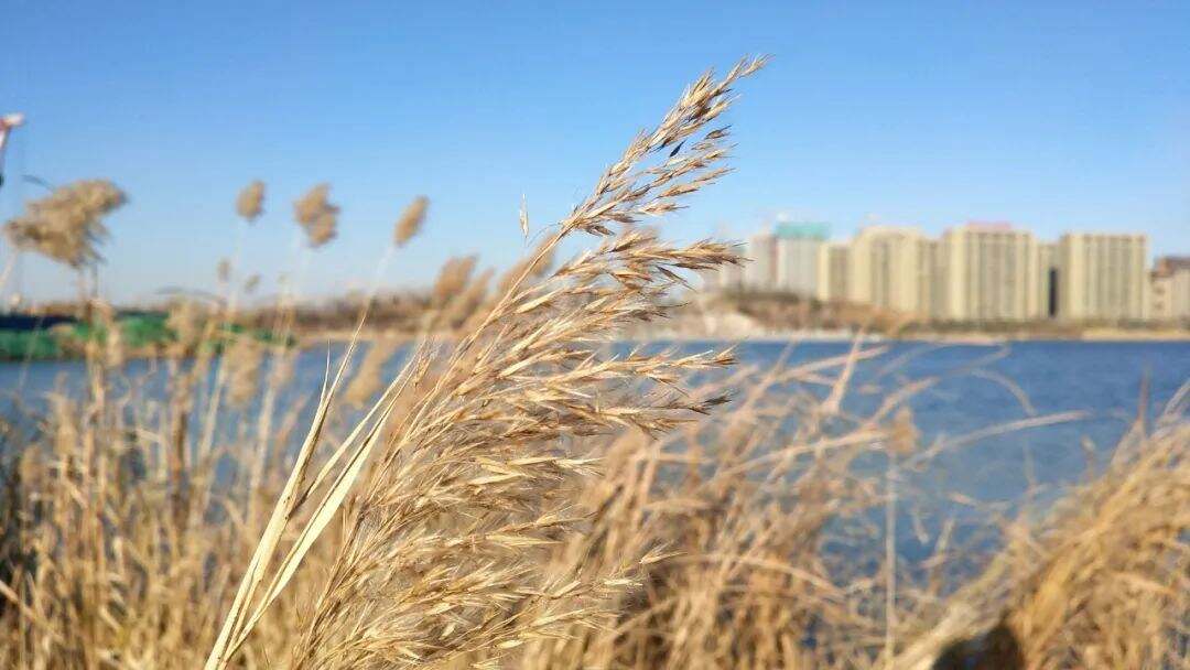 最低-8℃，这波冷空气有点猛！春节期间浙江天气、高速路况都有消息了