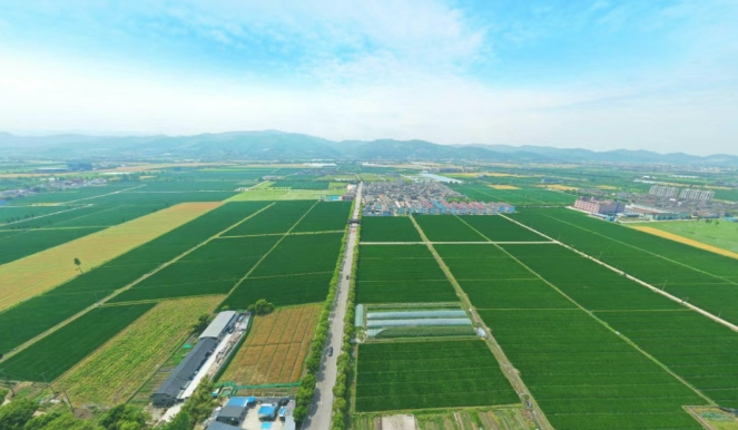 浙江3地入选！新一批全域土地综合整治典型案例发布