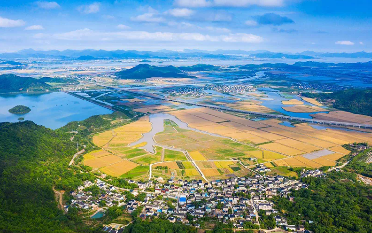 缩小“三大差距”！浙江十大标志性成果发布