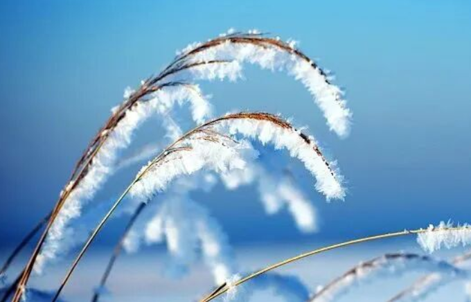 雨雪大风齐至，杭州局地飘雪！浙江气温开启过山车模式