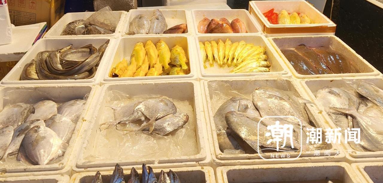 IMG20260922134606_01_副本.jpg