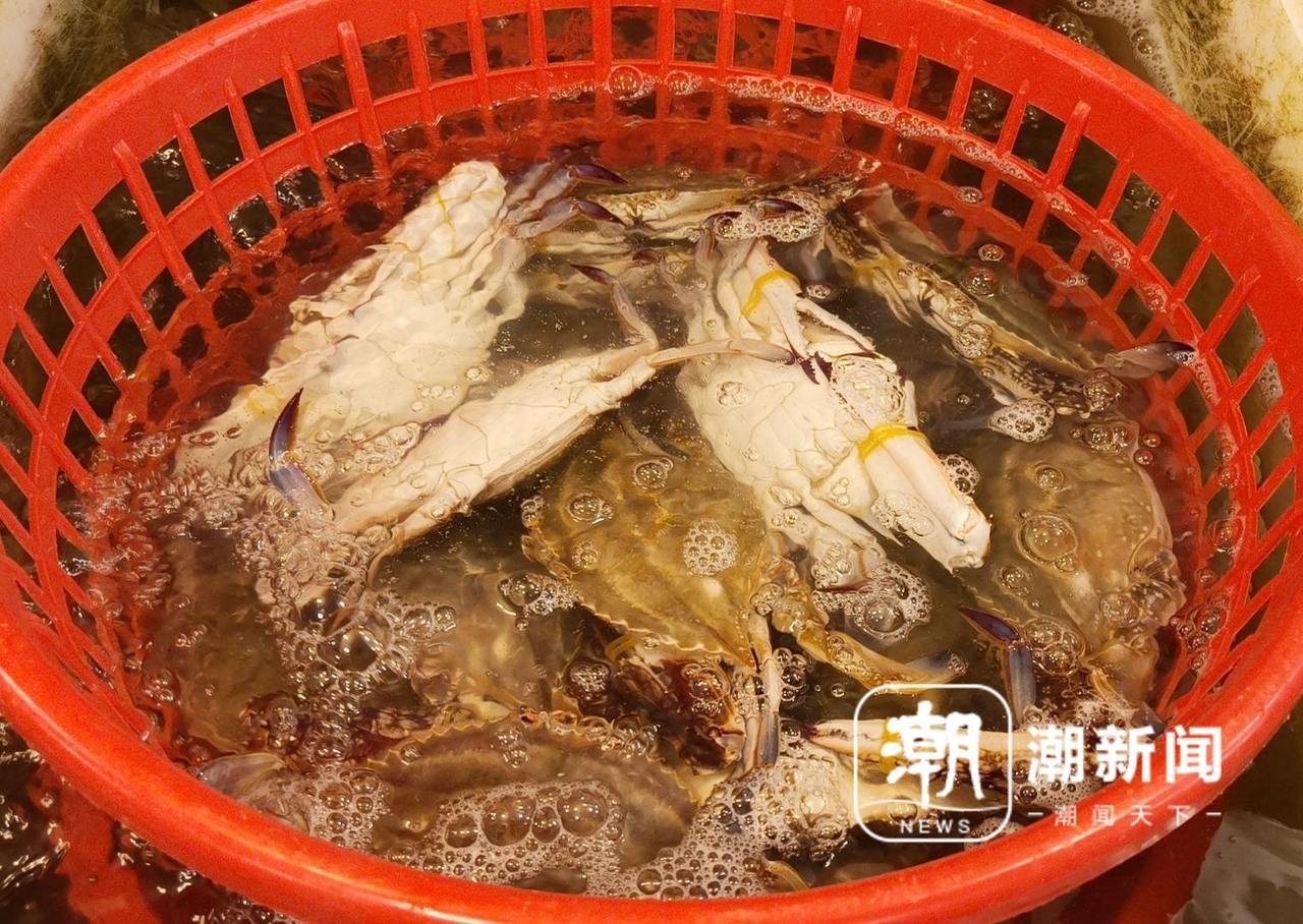 IMG20260922141453_01_副本.jpg