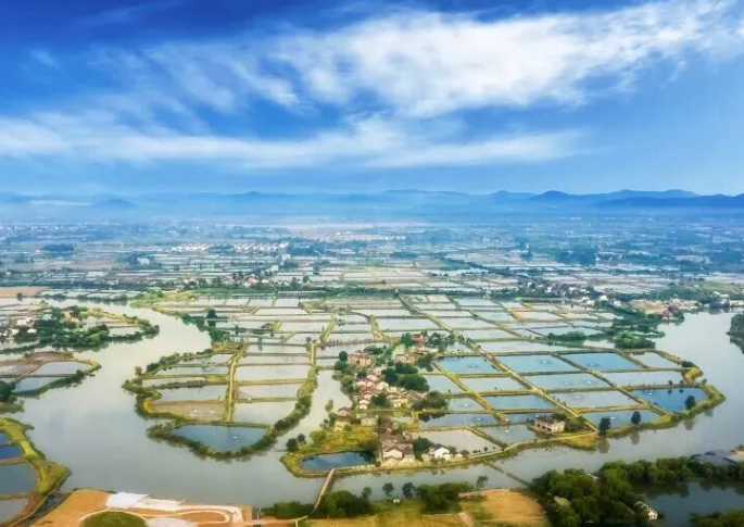 全球性荣誉！浙江又一村获评“最佳旅游乡村”