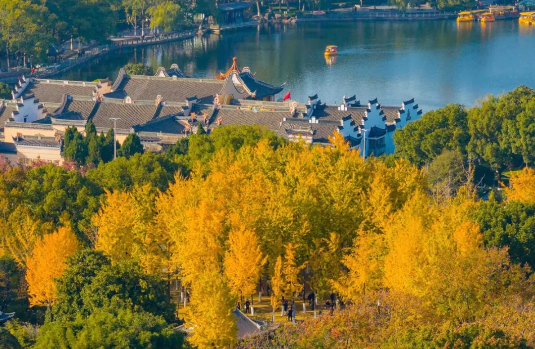 浙江“鎏金地图”上线，打卡正当时~