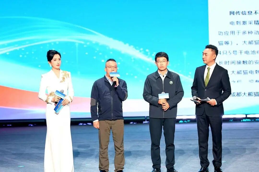 2037333084994531328.jpg 图片