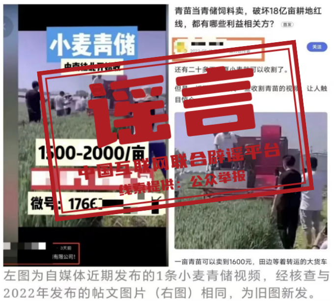 2049774186913538048.png 图片