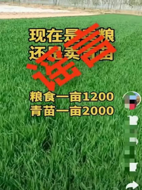 2056305284678098944.png