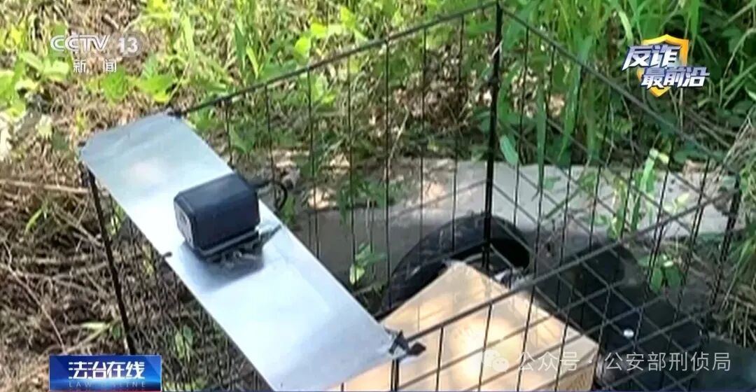 1999008969439293440.jpg 图片