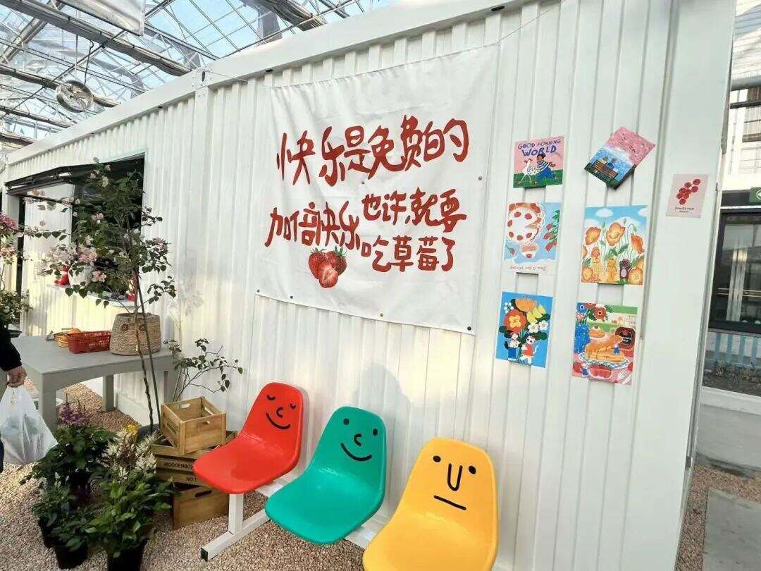 1999374634478186496.jpg W020251210590505994641.jpg