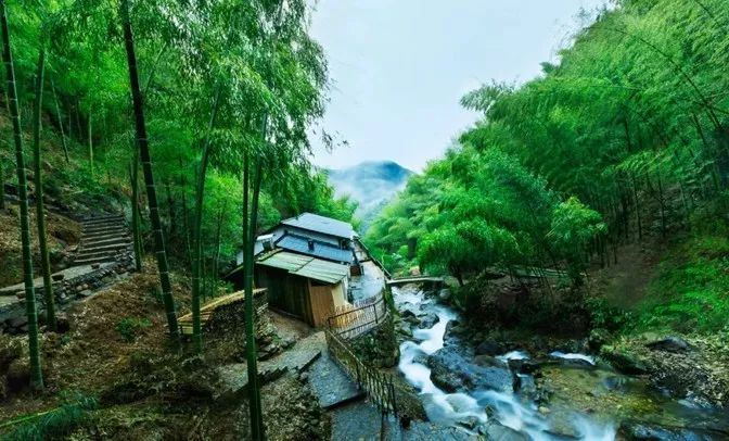 衢州千豪宾馆:舒适住宿的新选择