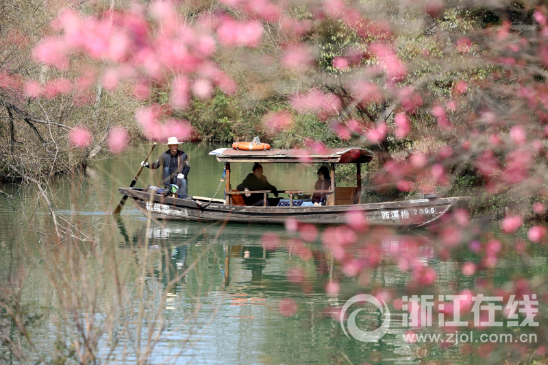 赏梅探春