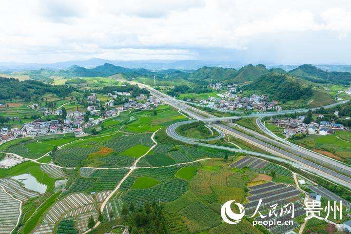 航拍甲树村蔬菜种植基地。人民网 阳茜摄