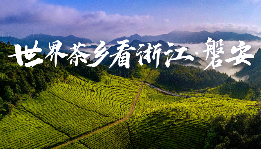 世界茶乡看浙江·磐安行